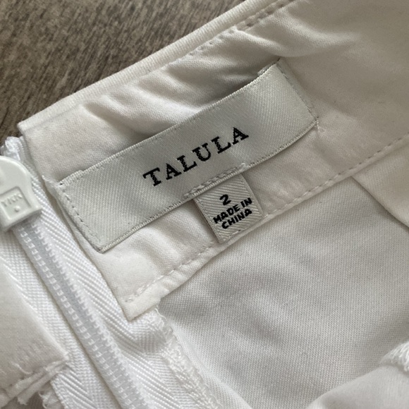 Talula Aritzia skort - Picture 5 of 5